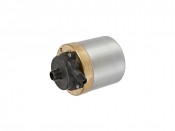 Cal Pump Stainless Steel Pump (320 GPH)